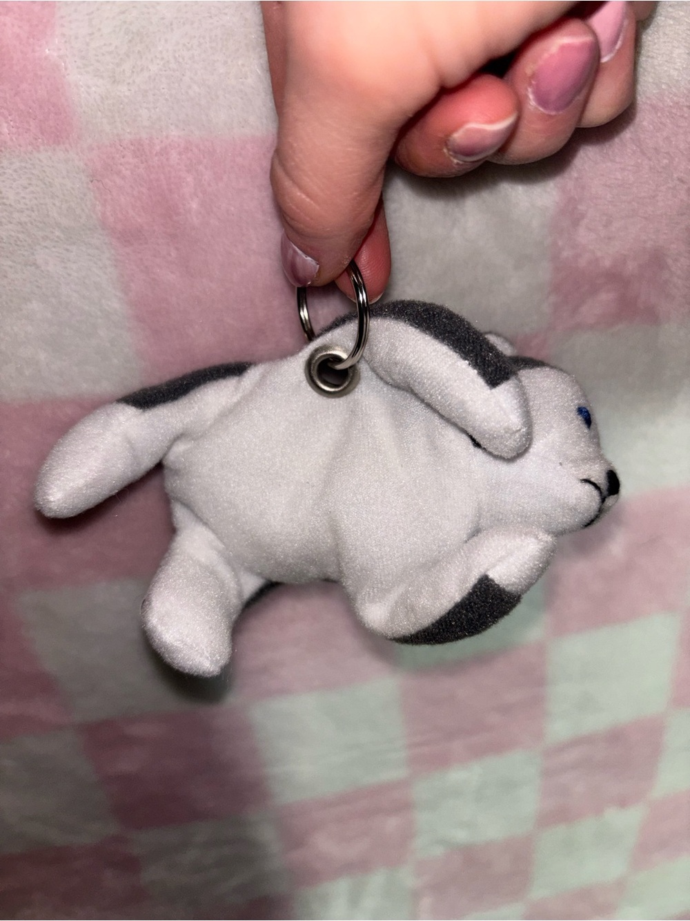 Ty Beanie Baby Puppy Dog Keychain Plush Gray White Blue Eyes husky dog lover - Picture 5 of 5